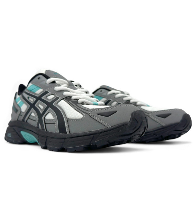 Asics Gel Venture 6 Gore-Tex Grey 1203A245-020